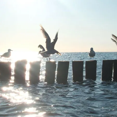 Schoene 3-zimmer Zentral & Strandnah Seemoewe